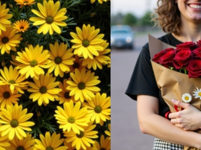 La tradición de regalar flores amarillas el 21 de septiembre: Orígenes y significado en América Latina